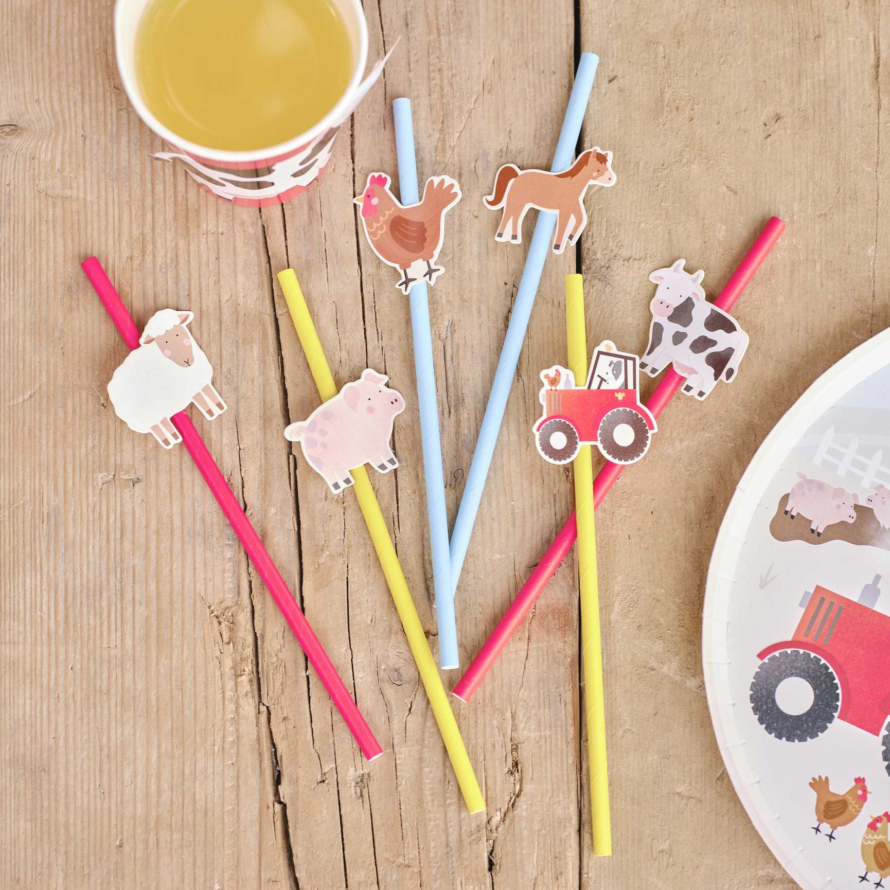 Farm animal barnyard birthday party theme paper party straw