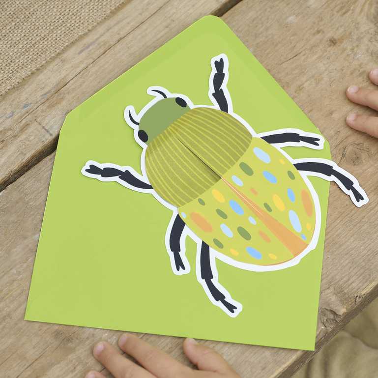 Pop Out Bug & Insect Beetle Birthday Party Invitations