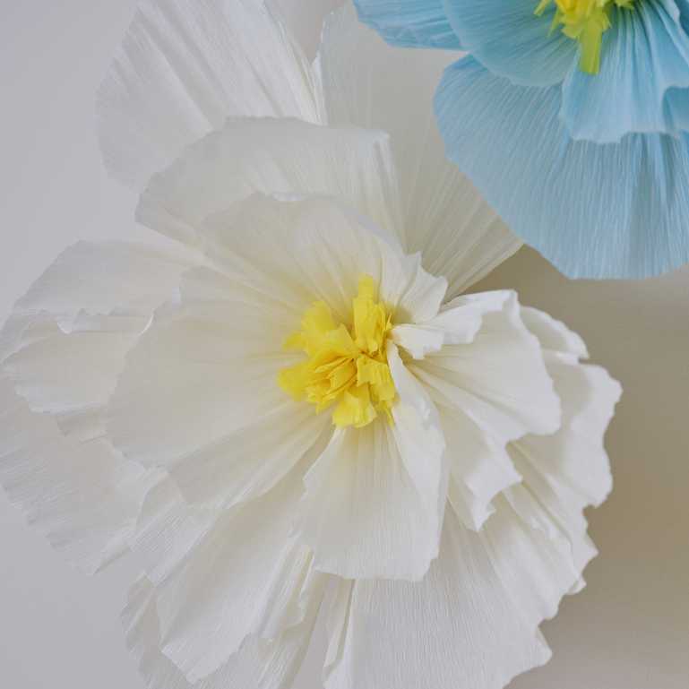 Tissue Paper Flowers