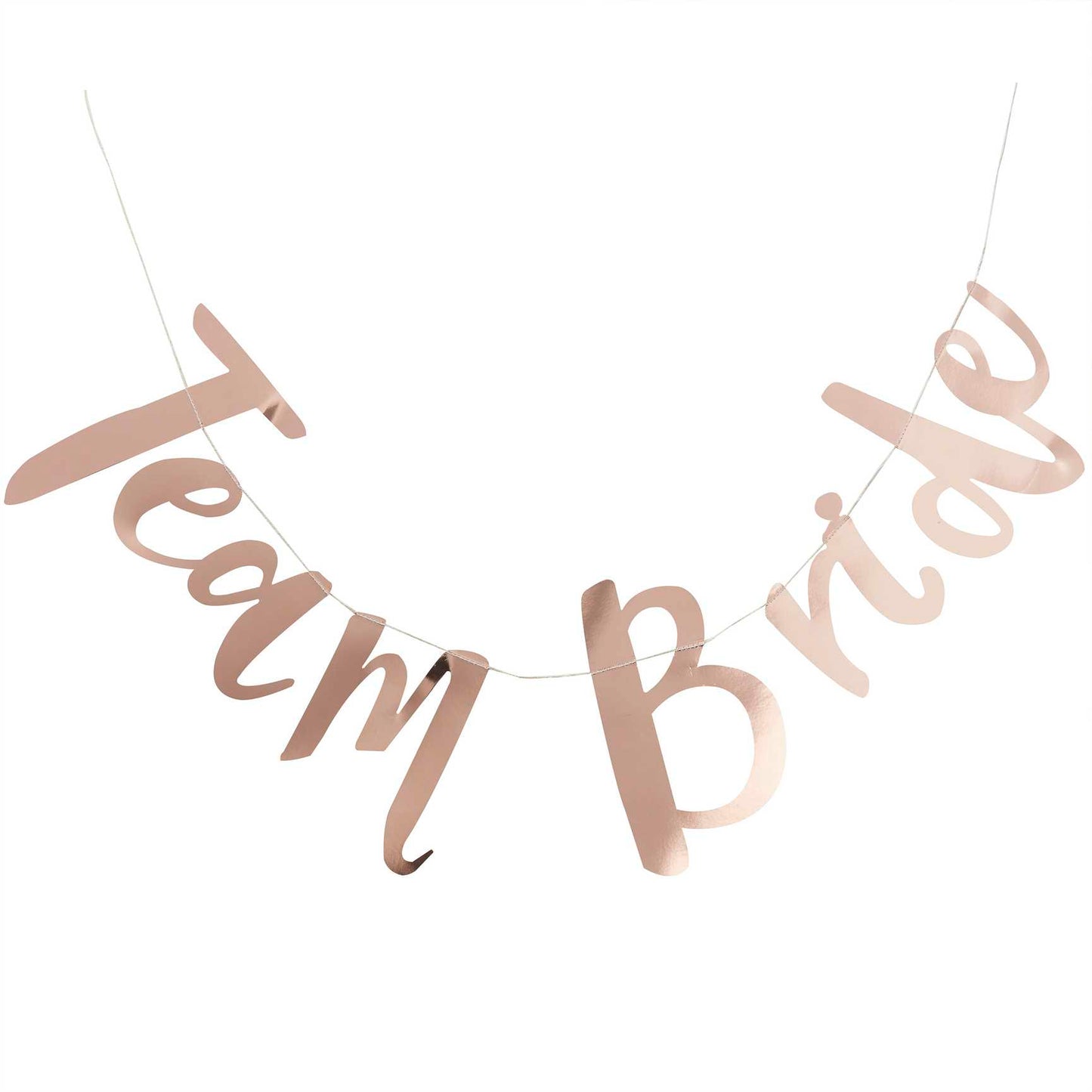 Team Bride Rose Gold Bridal Shower Hens Day Bunting Banner Decoration